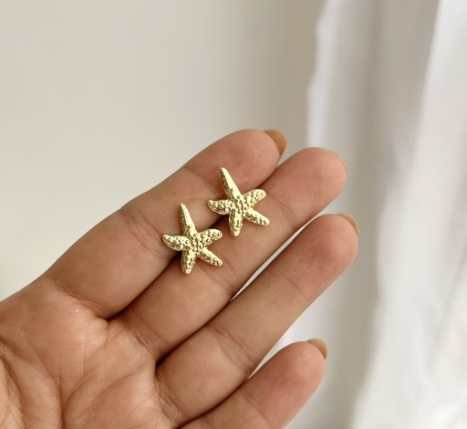 Topos estrella